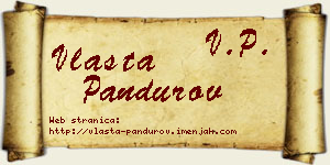 Vlasta Pandurov vizit kartica
